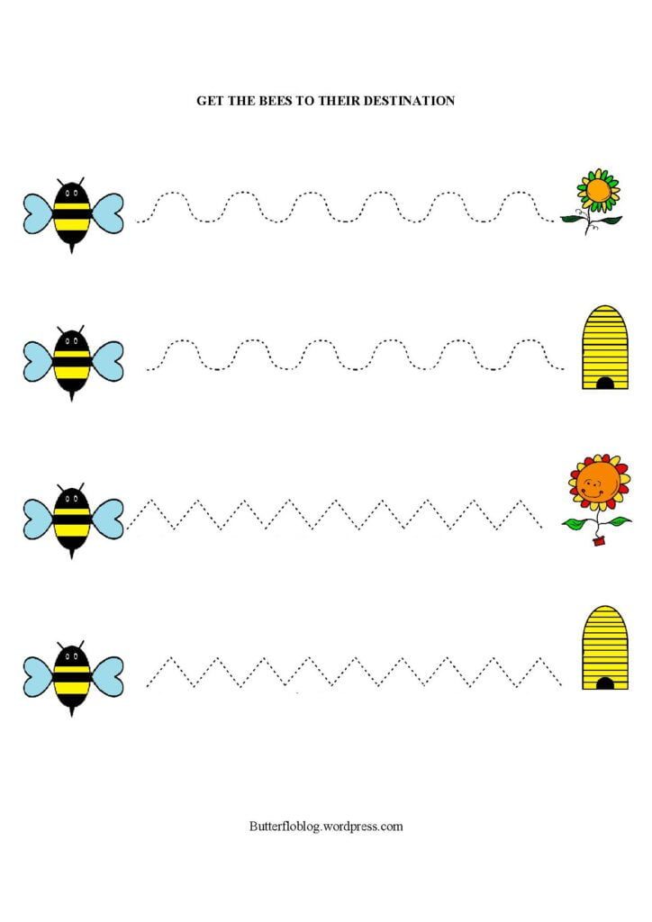 Bumble Bee Line Trace activity