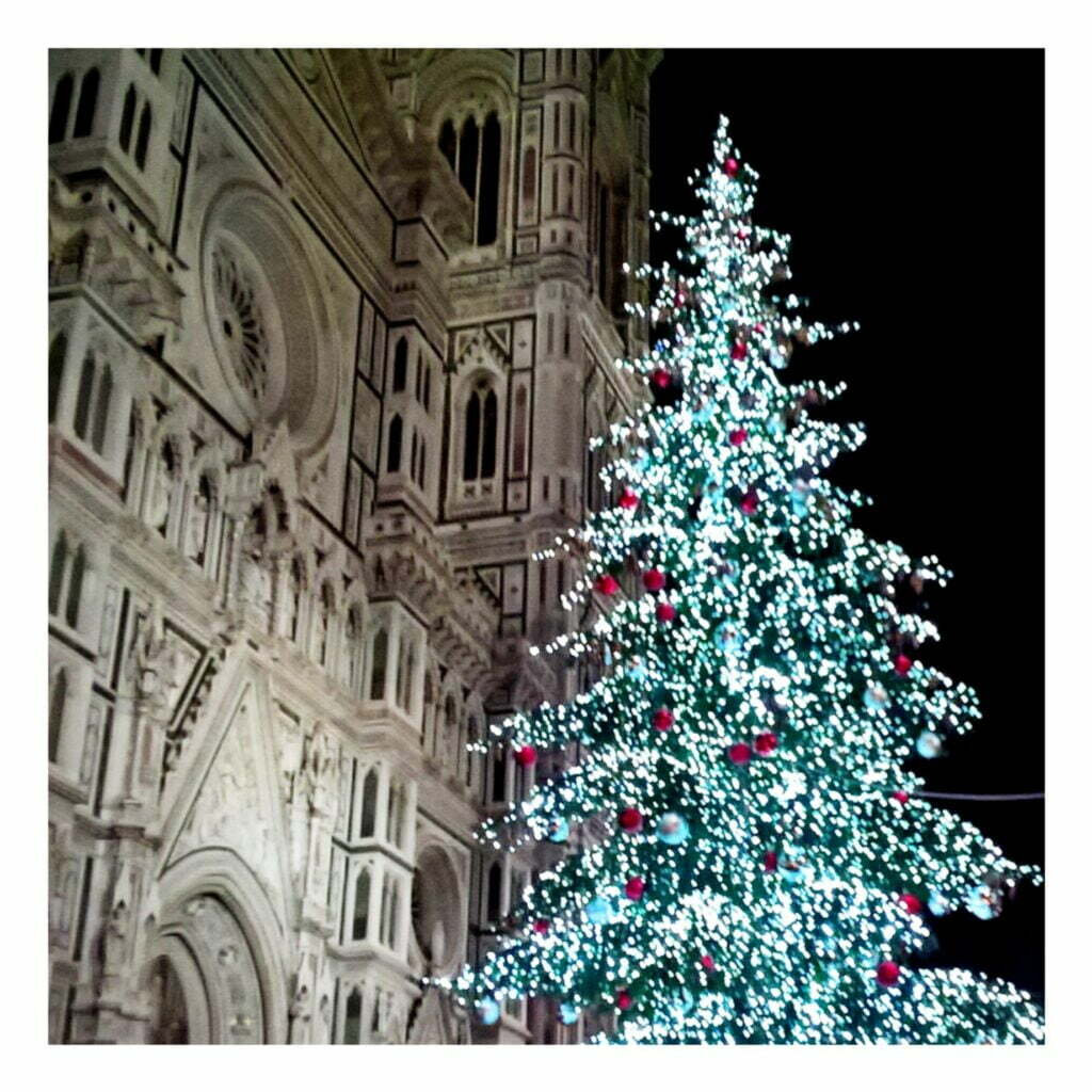 CHRISTMAS TREE FLORENCE DECEMBER 2017