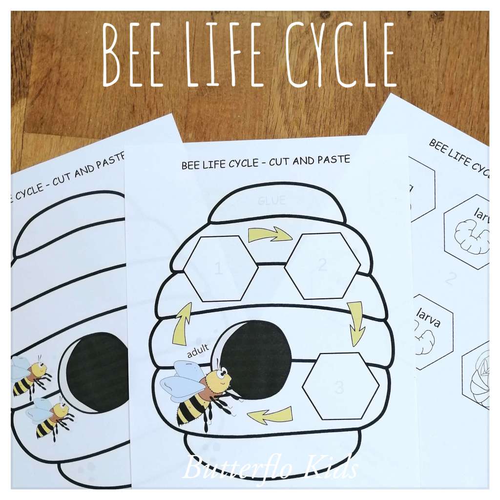 bee life cycle craft templates