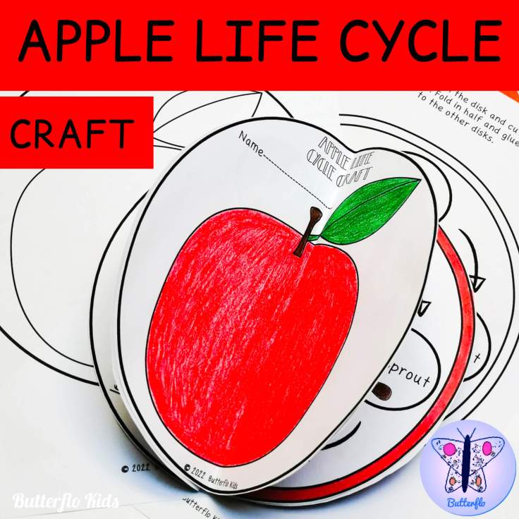 apple life cycle craft