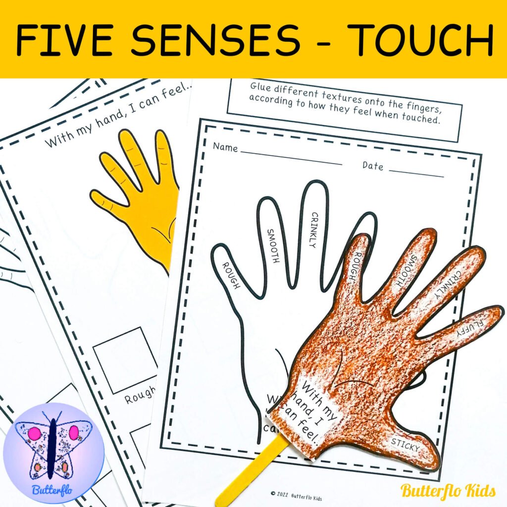 the five senses touch activity