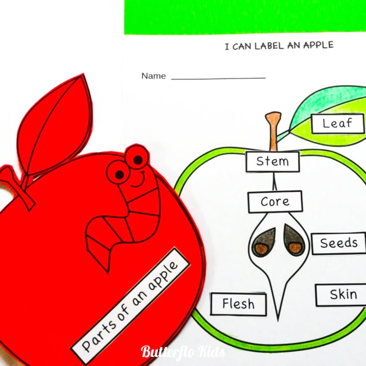 parts of an apple labelling