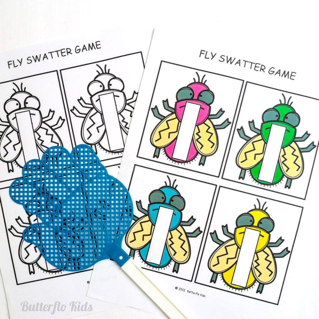 fly swat flashcards