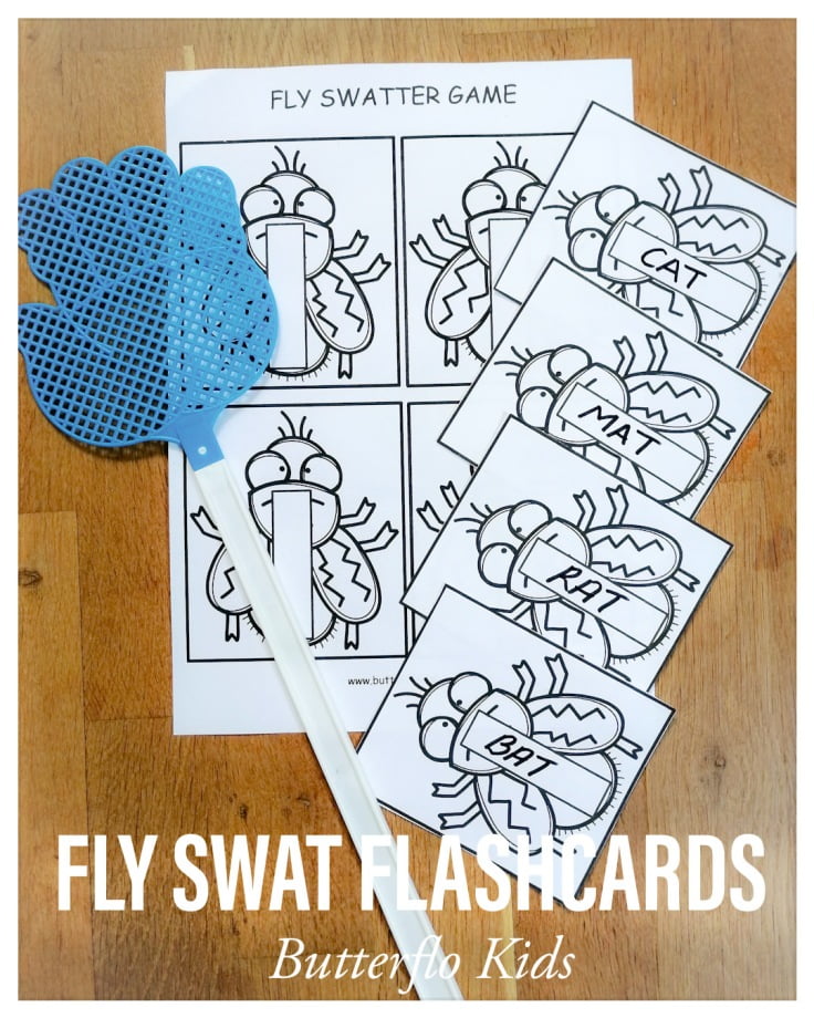 fly swat flashcards