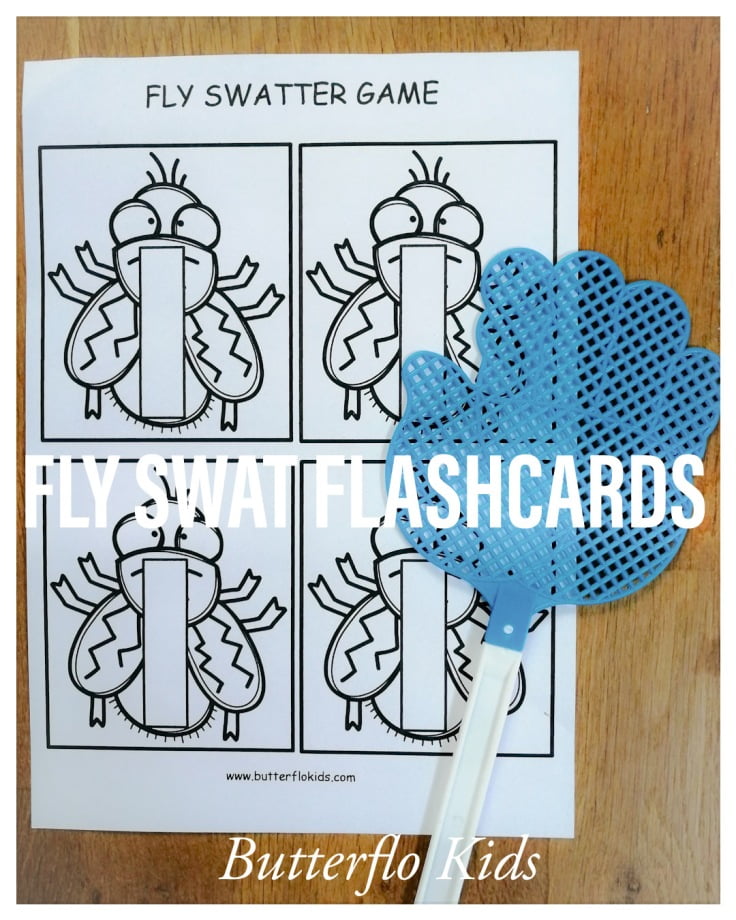 fly swat flashcards