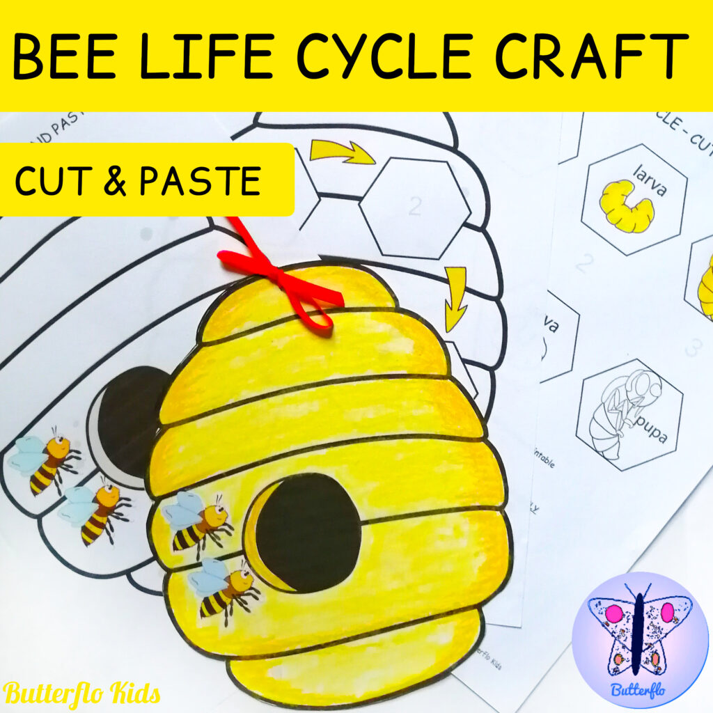 bee life cycle craft cut and paste craft