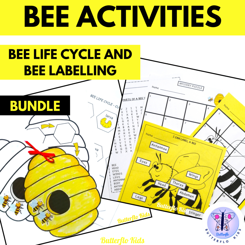 bee activities bee life cycle and bee labelling