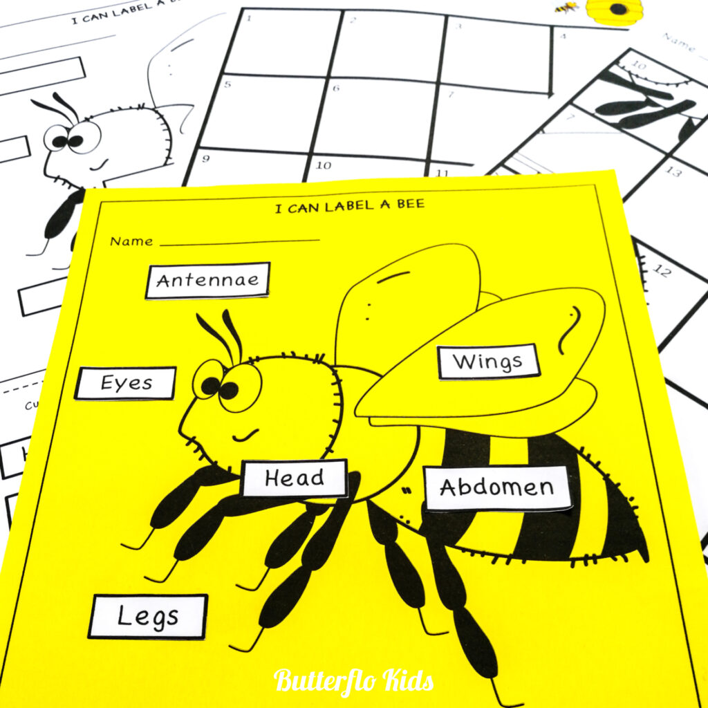 parts of a bee labelling