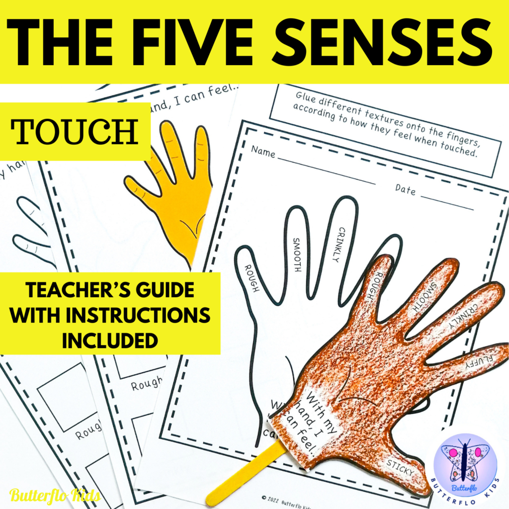 the five senses touch