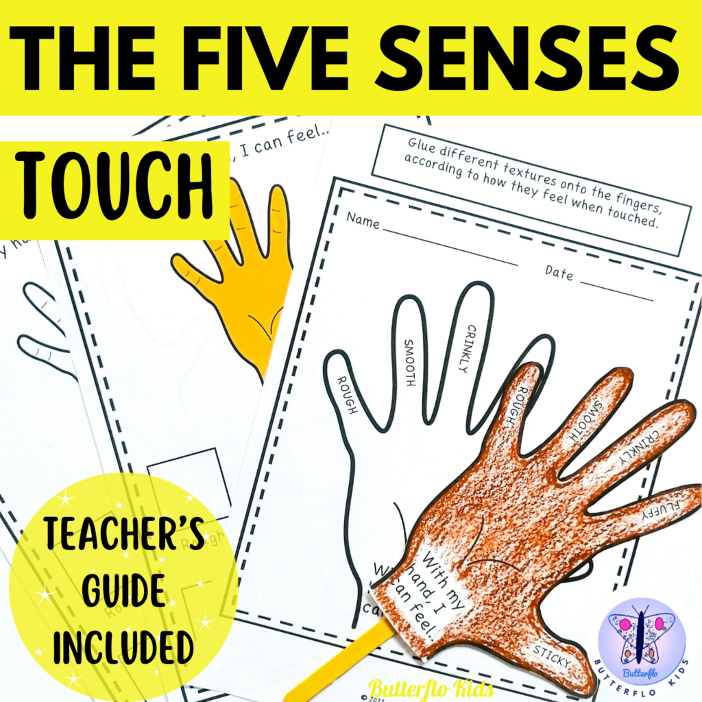 the five senses touch
