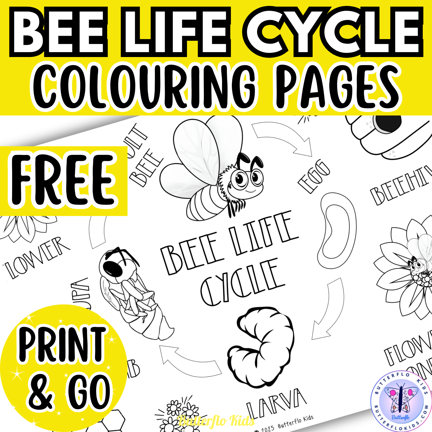 bee-life-cycle-colouring-pages-free-butterflo-kids for Free Printable Honey Bee Life Cycle Worksheet Bee Life Cycle Colouring Pages (FREE) - Butterflo Kids for Free Printable Honey Bee Life Cycle Worksheet