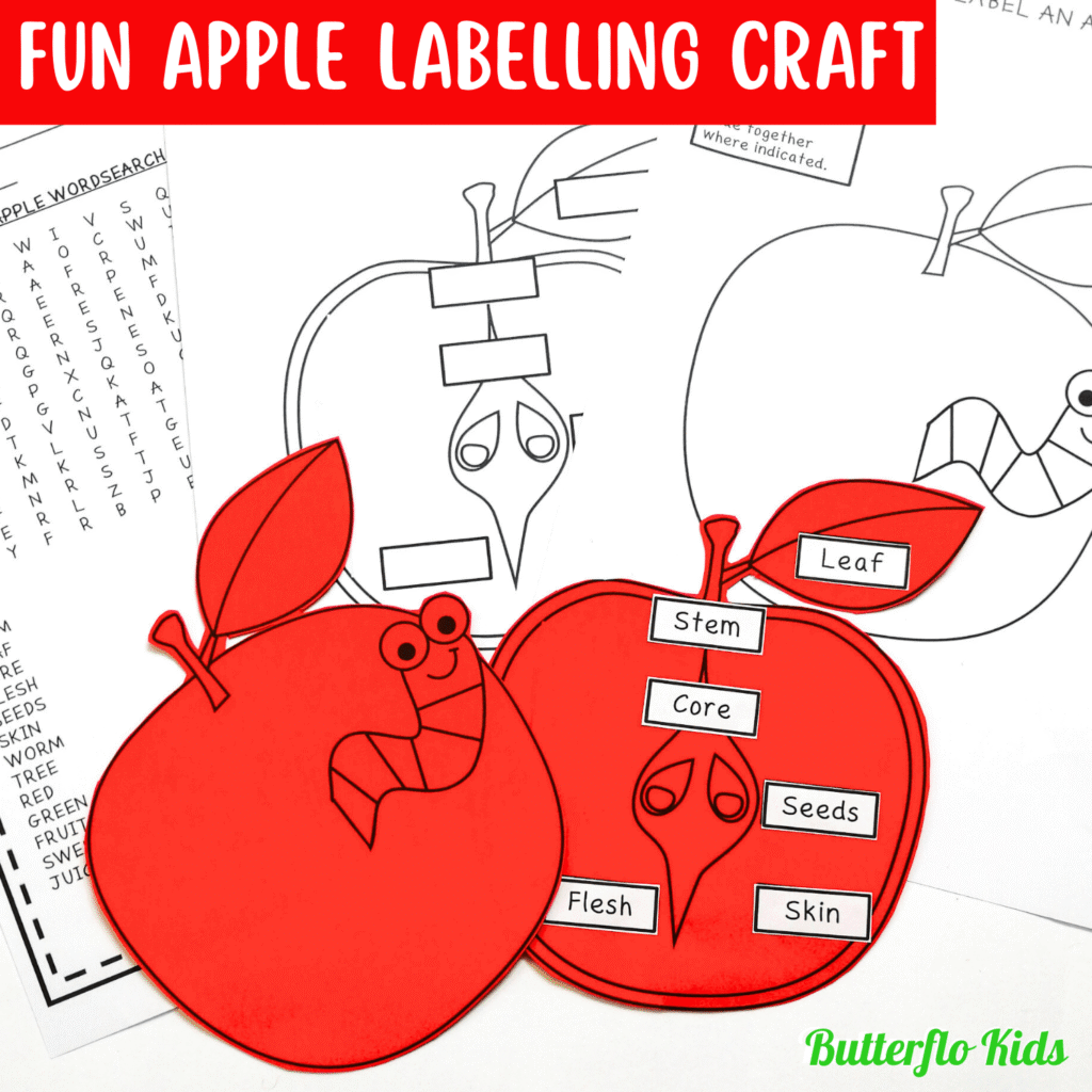 parts of an apple craft